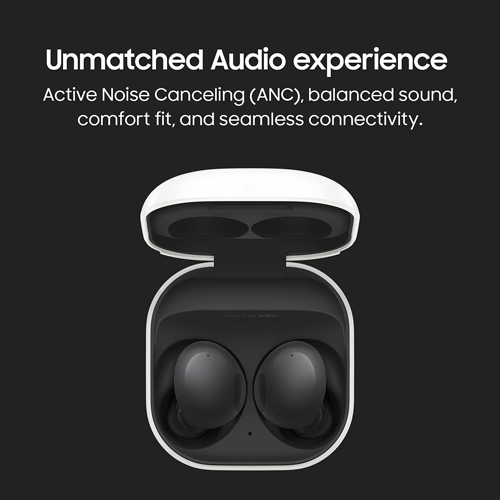 Galaxy Buds2 - Graphite