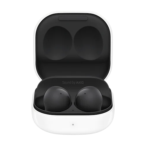 Galaxy Buds2 - Graphite